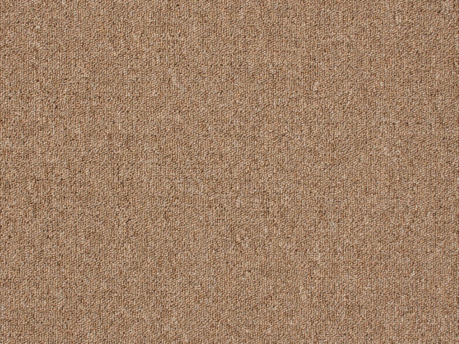 Bodega - Barley - Gradus - Colour Swatch