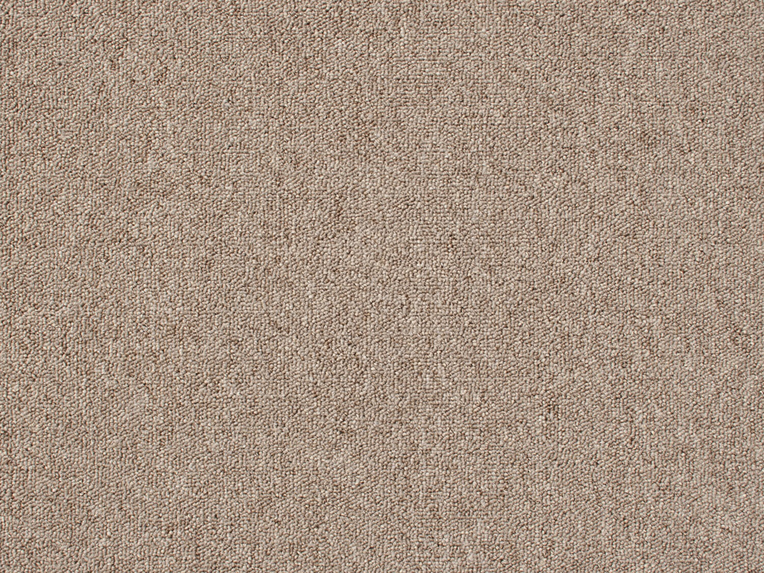 Bodega - Oatmeal - Gradus - Colour Swatch