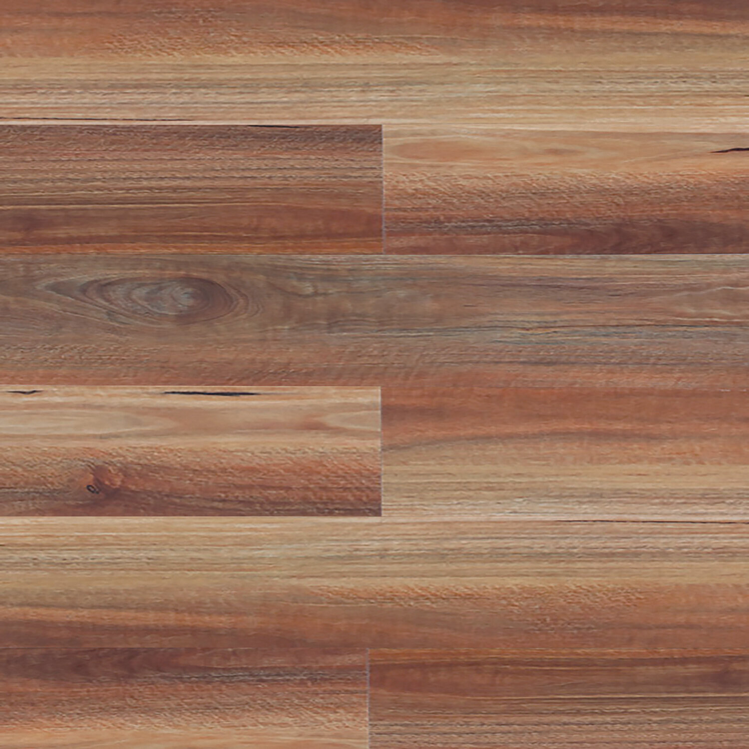 Rainforest Spotted Gum Swatch