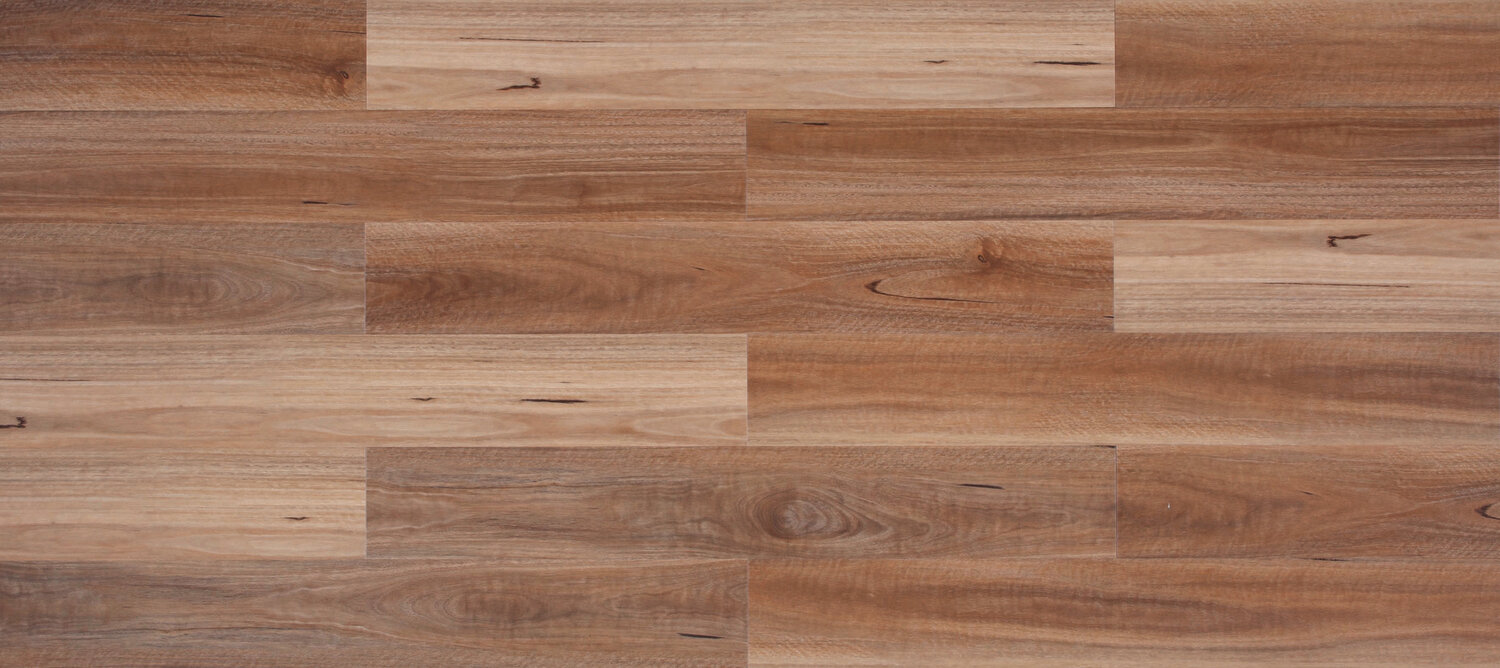 Western Spotted Gum Swatch