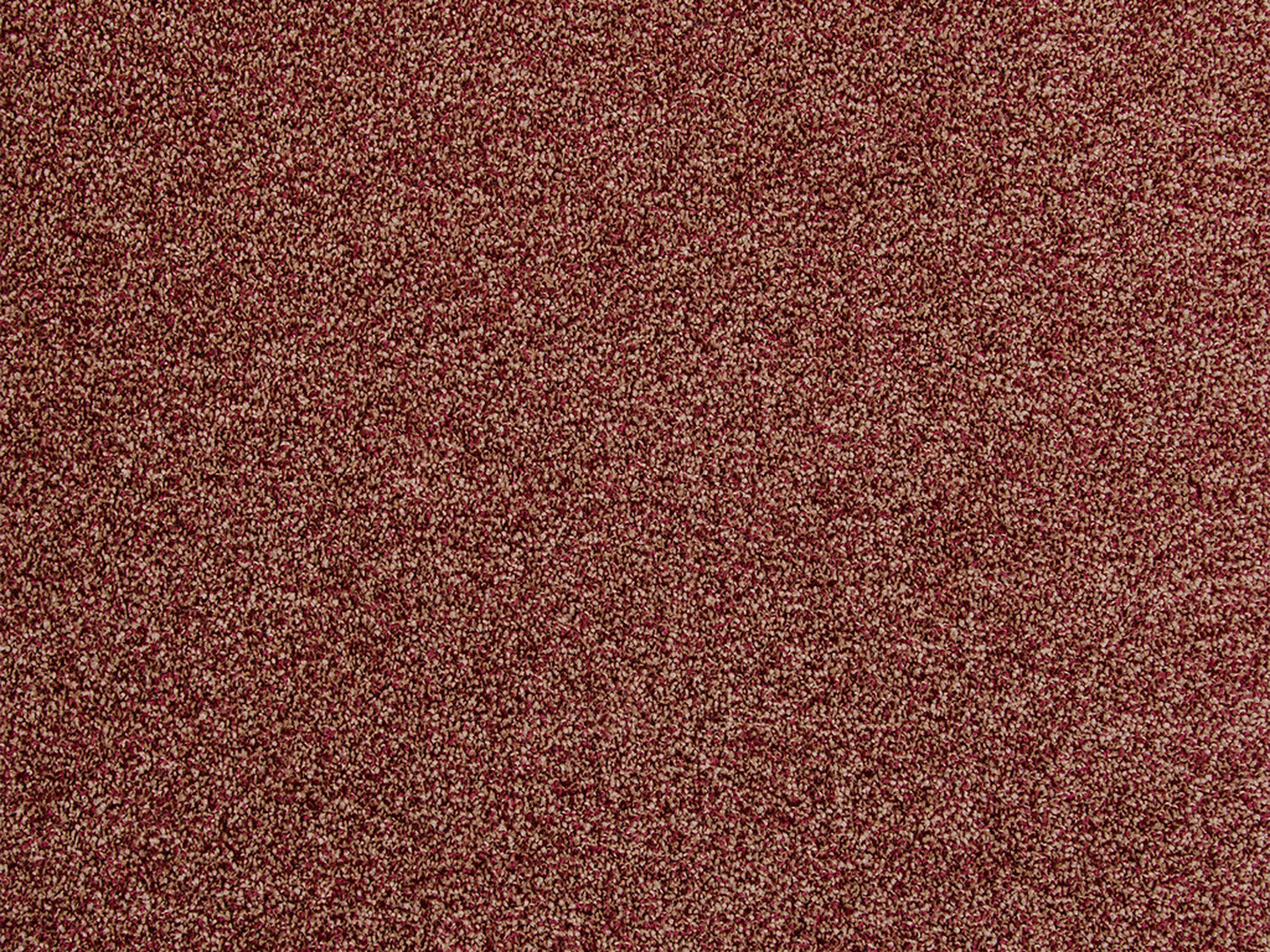 Carezone Cut Pile - Autumn Leaves - Gradus - Colour Swatch