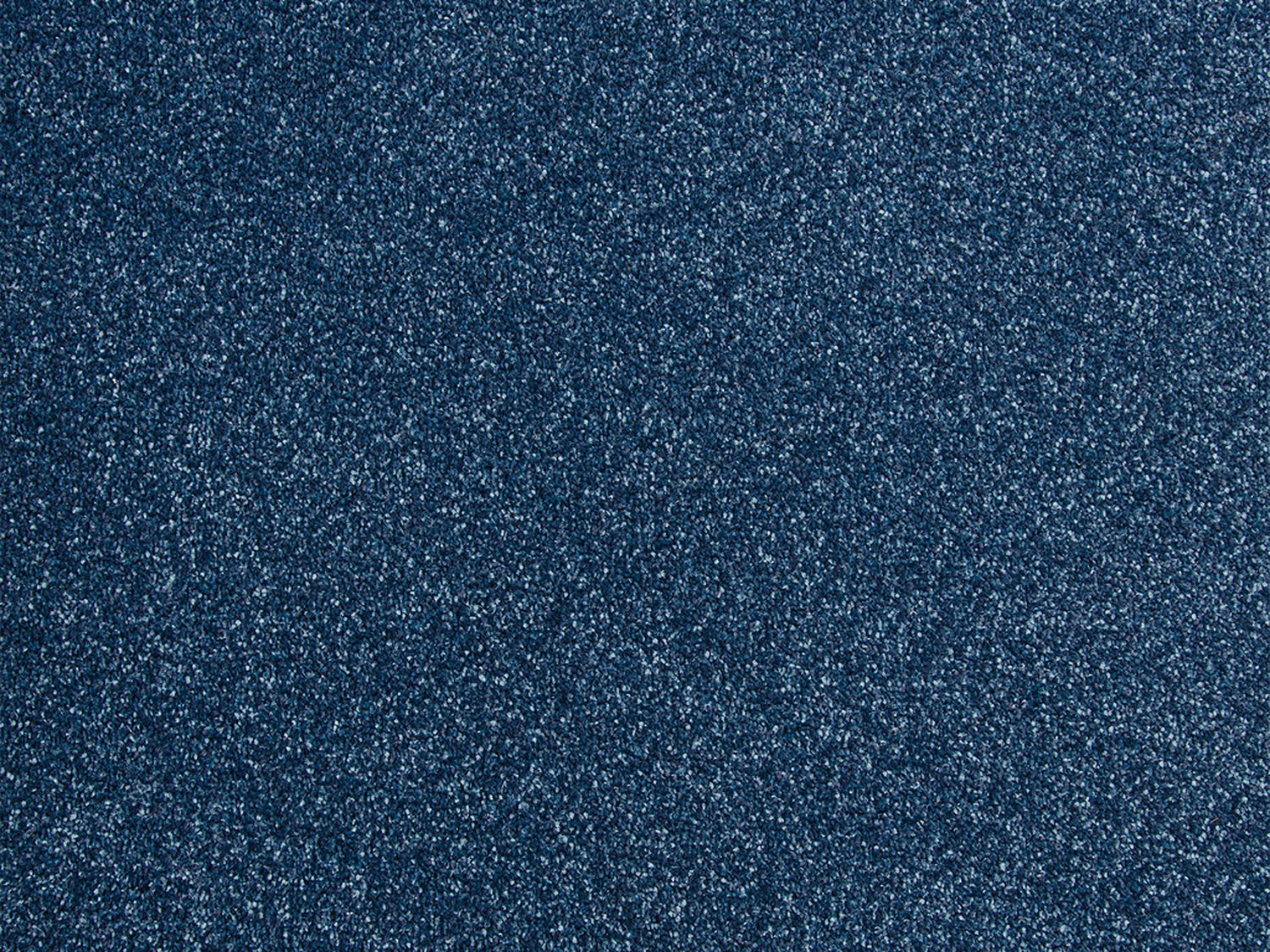 Carezone Cut Pile - Deep Blue - Gradus - Colour Swatch