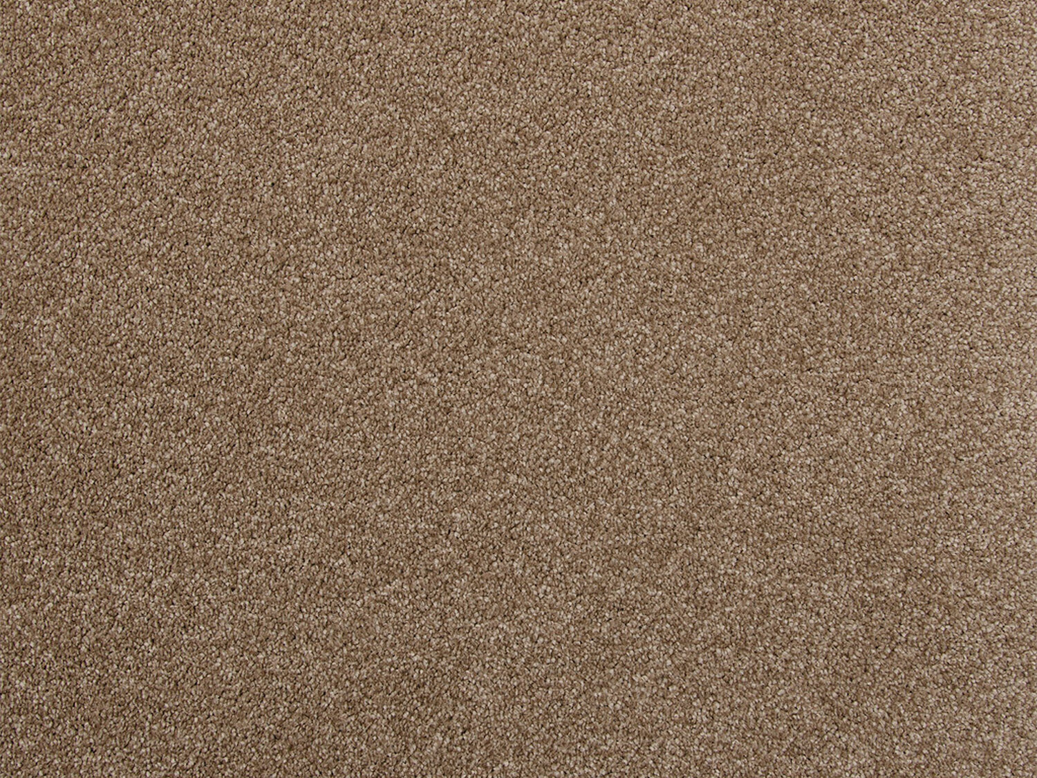 Carezone Cut Pile - Natural Hessian - Gradus - Colour Swatch