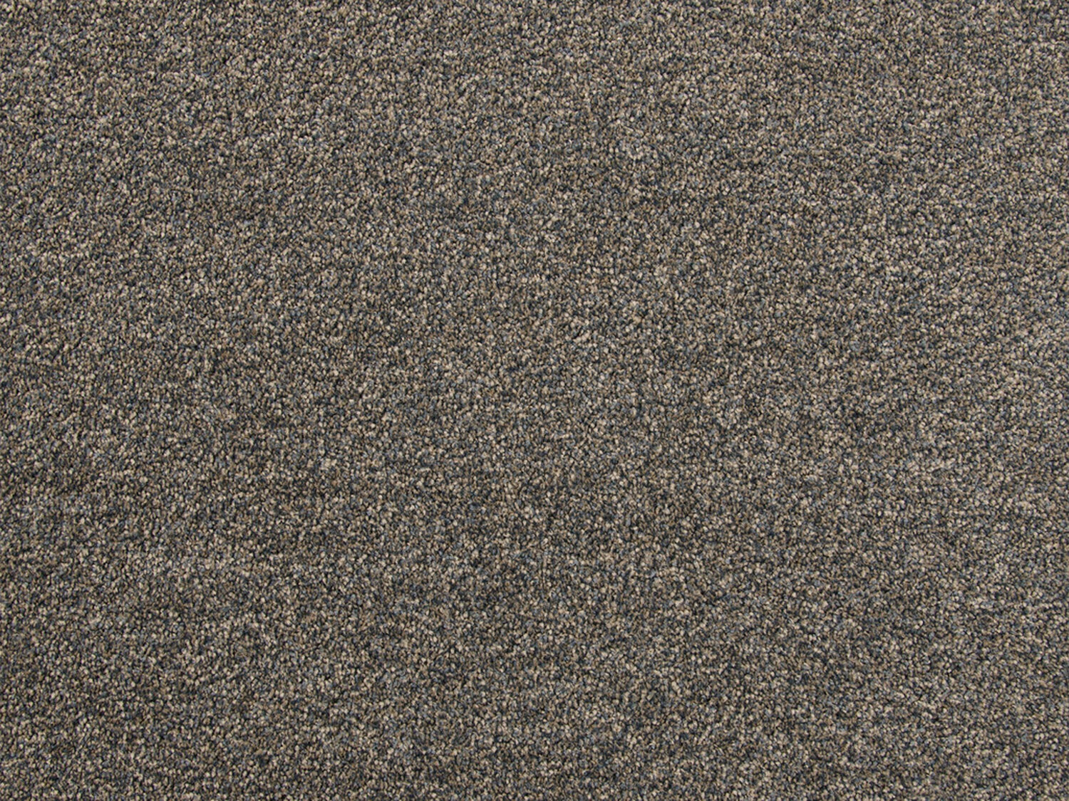 Carezone Cut Pile - Natural Truffle - Gradus - Colour Swatch