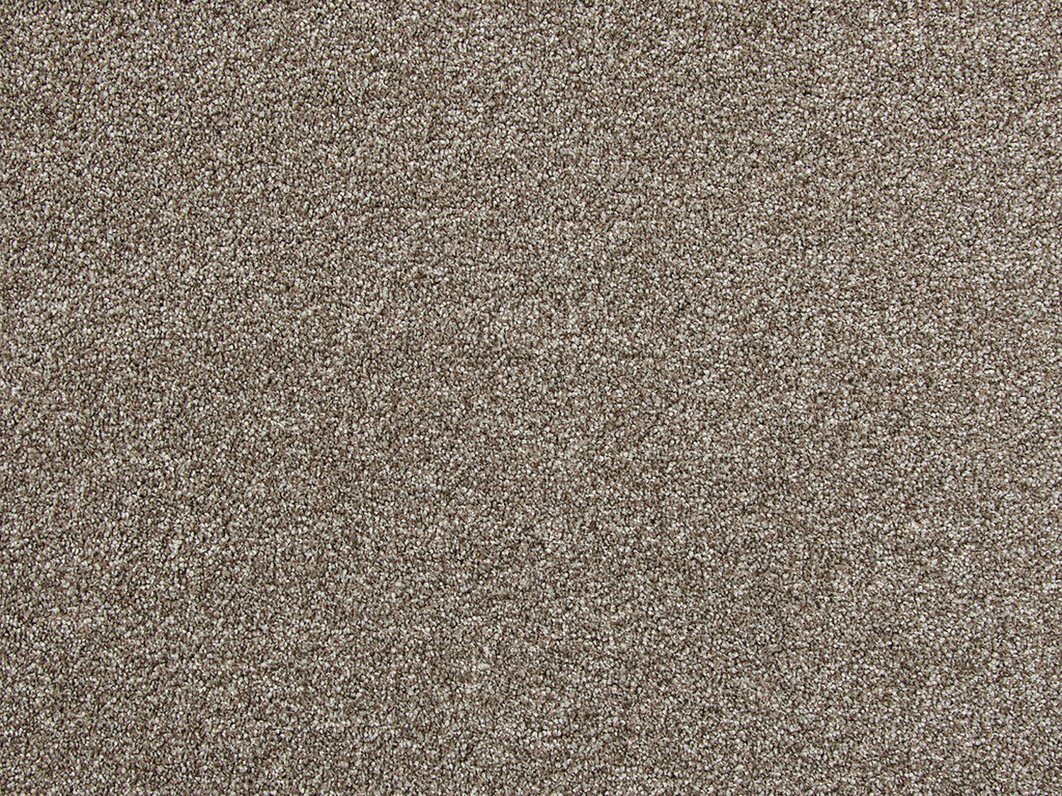 Carezone Cut Pile - Soft Taupe - Gradus - Colour Swatch