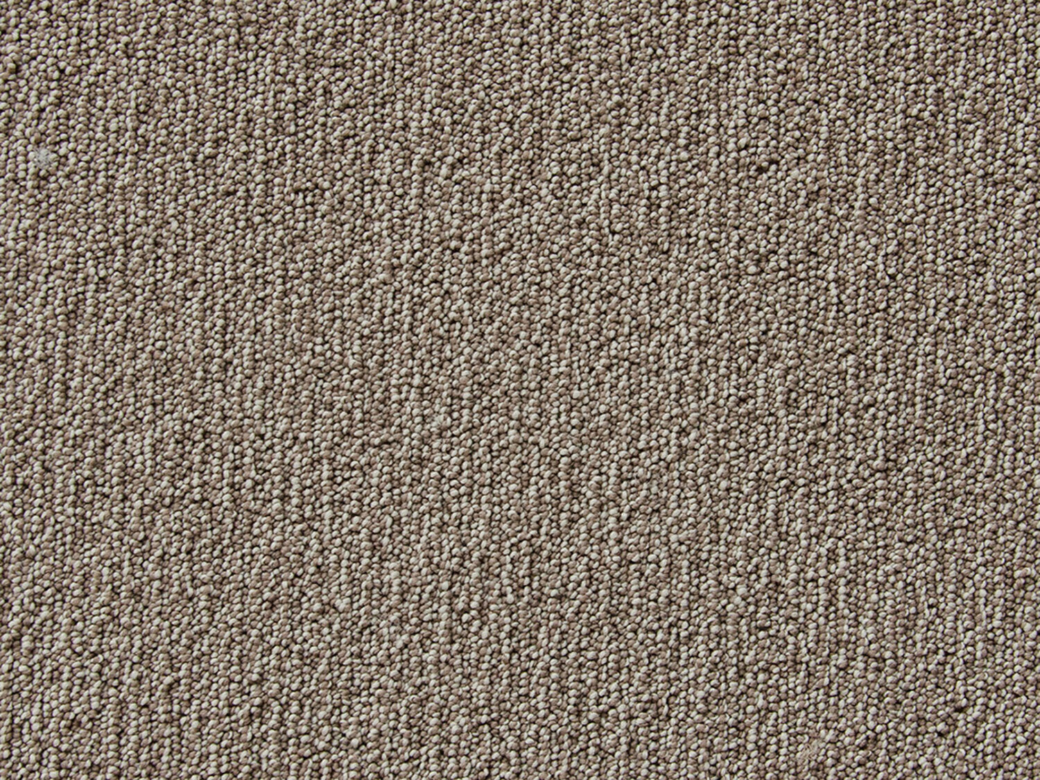 Carezone Loop Pile - Soft Taupe - Gradus - Colour Swatch