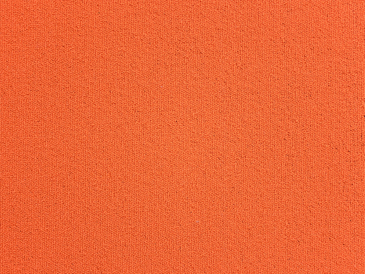 Emphasis - Gradus - Loop Pile Orange