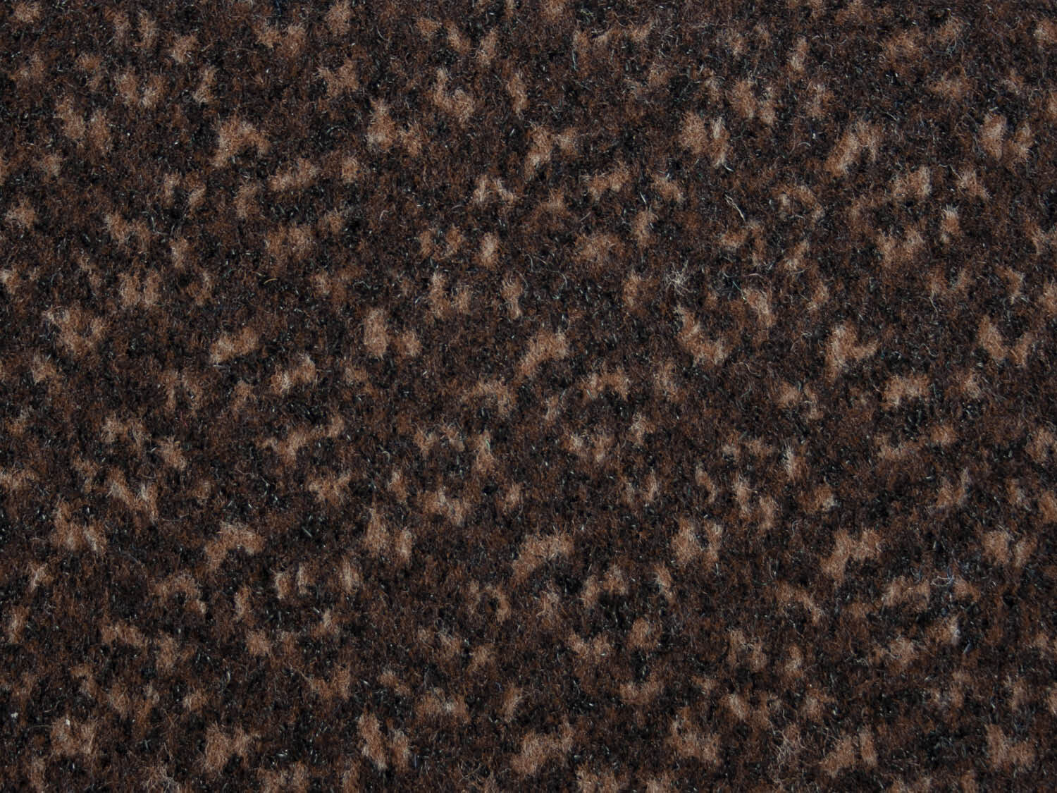 Gradus - Boulevard 6000 - Walnut