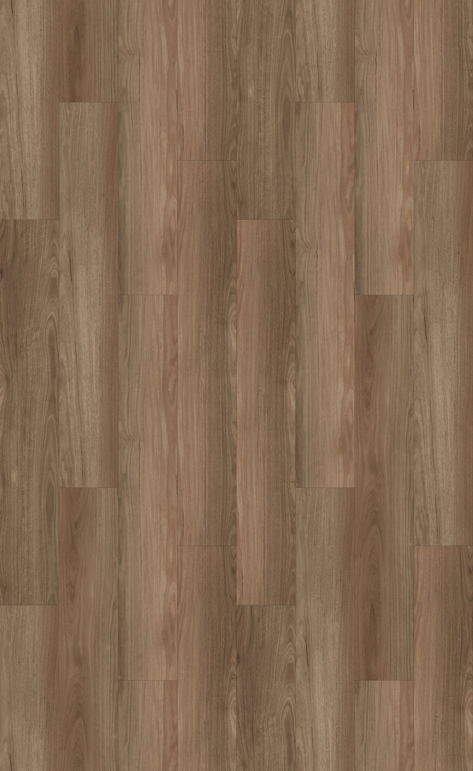 Virtuo Classic 55 xl 3003 Astir Spotted Gum Swatch.jpg