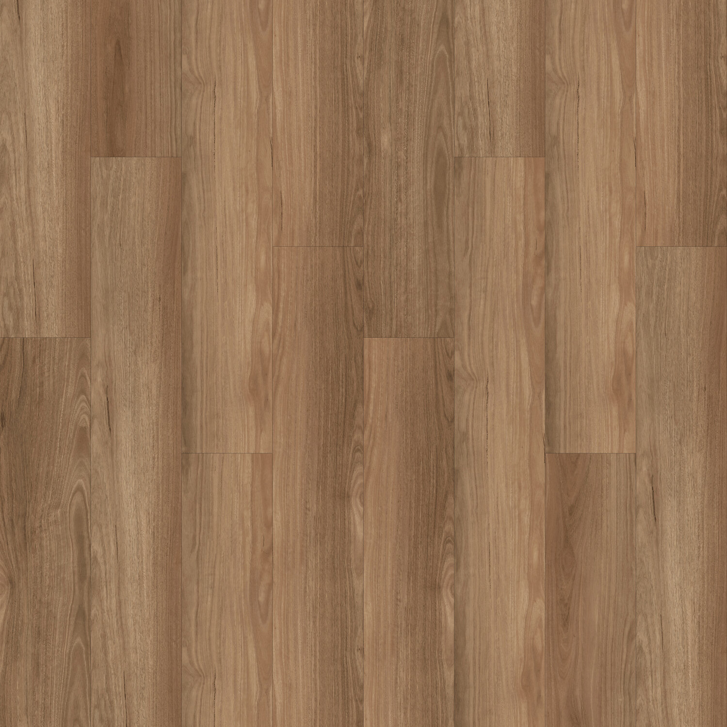 Virtuo Rigid 55 Lock 3006 Ocean View Spotted Gum Swatch.jpg