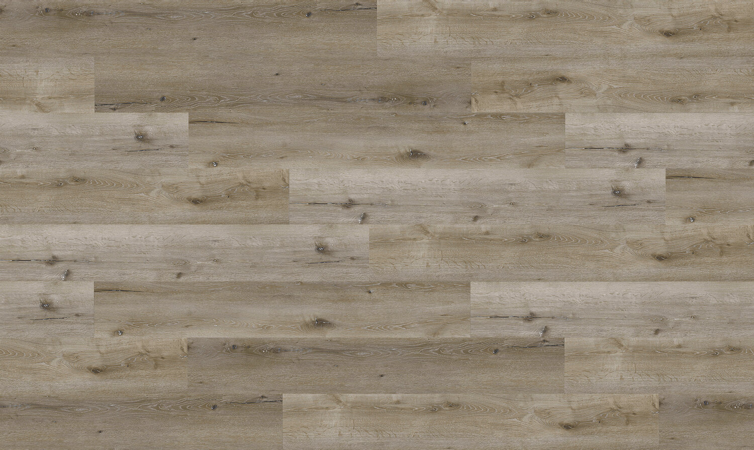 CushionOak Supreme COS1-1638 Sassile Oak Swatch.jpg